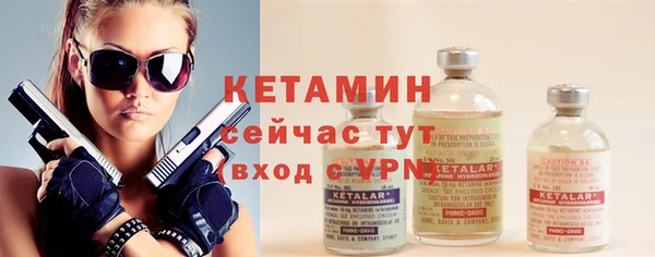 твердый Богданович