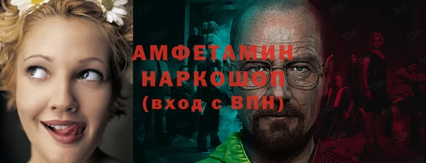 твердый Богданович