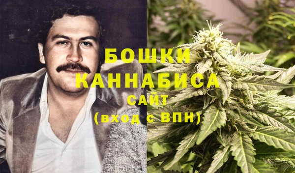 твердый Богданович
