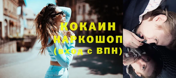 твердый Богданович
