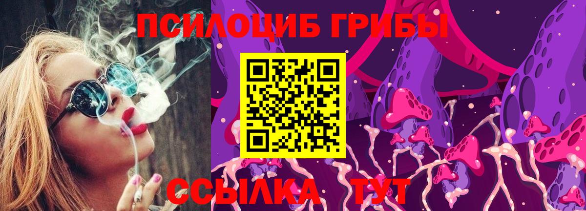 Галлюциногенные грибы прущие грибы  Вход с VPN  Среднеуральск 